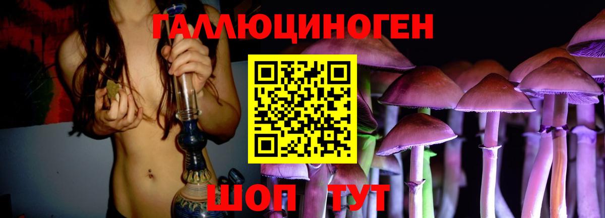 Луховицы  Псилоцибиновые грибы MAGIC MUSHROOMS  Вход с VPN 